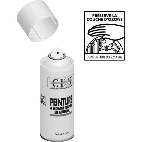 BOMBE AEROSOL ROUGE 1 RAL 3020