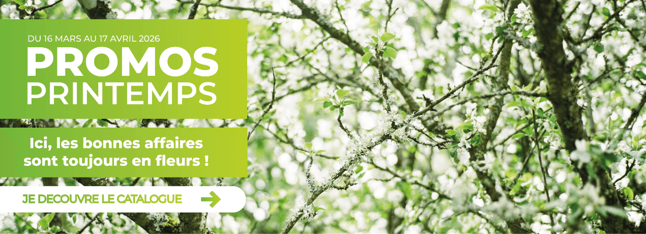 PROMO PRINTEMPS